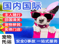 哈尔滨太平空运地址国际宠物托运 【国
